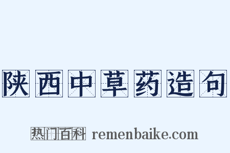 陕西中草药造句是什么意思的图片